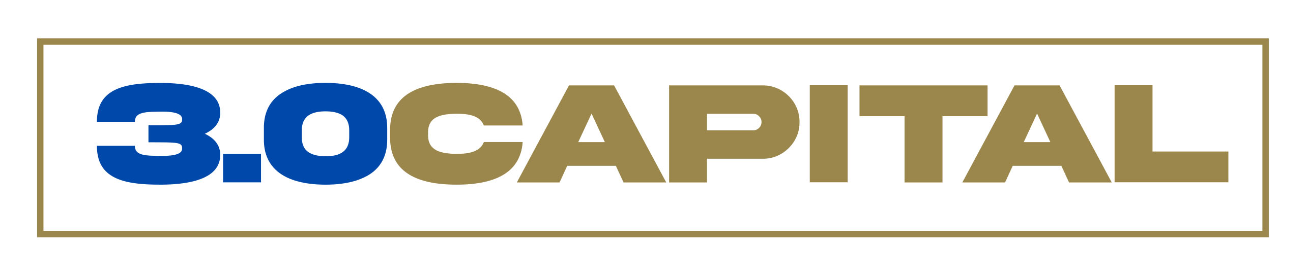 3.0 Capital